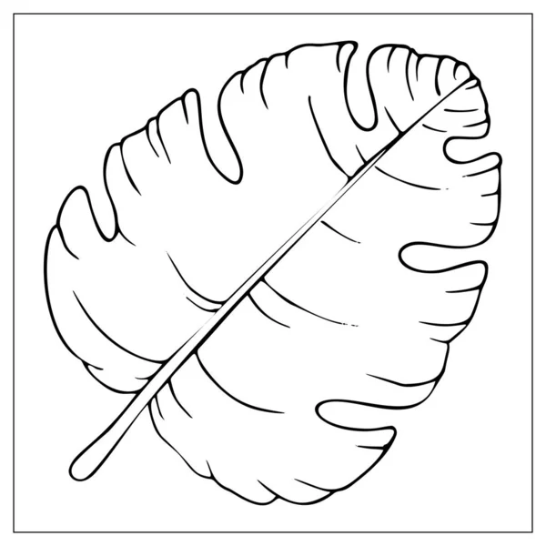 Feuille de palmier isolée vectorielle sur fond blanc . — Image vectorielle