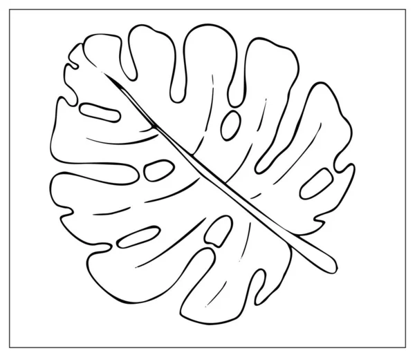 Hoja de palma aislada vectorial sobre fondo blanco . — Archivo Imágenes Vectoriales