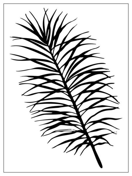 Vector geïsoleerd palmblad op witte achtergrond. — Stockvector