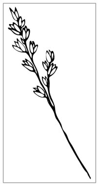 Bir çimen yaprağının siyah ve beyaz siluetini taşıyın.