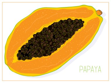 Papaya diliminin vektör silueti. Beyaz arka planda yalıtılmış meyve çizimi.