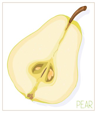 Armut diliminin vektör silueti. Beyaz arka planda yalıtılmış meyve çizimi.