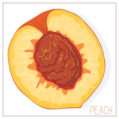 Şeftali diliminin vektör silueti. Beyaz arka planda yalıtılmış meyve çizimi.