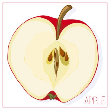 Elma dilimlerinin vektör silueti. Beyaz arka planda yalıtılmış meyve çizimi.