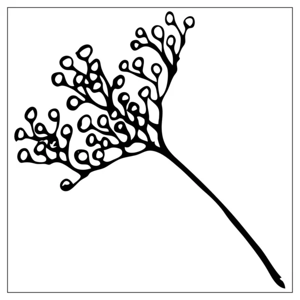 Vektorová černá a bílá silueta stébla trávy. — Stockový vektor