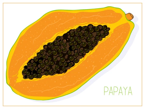 Vektorsilhouette einer Papaya-Scheibe. isolierte Zeichnung Früchte auf weißem Hintergrund. — Stockvektor
