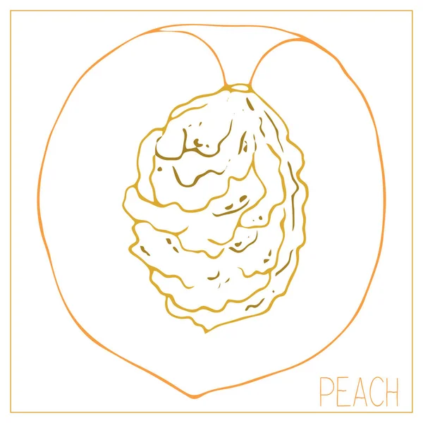 Silhouette vectorielle d'une tranche de pêche. Fruit dessin isolé sur fond blanc . — Image vectorielle