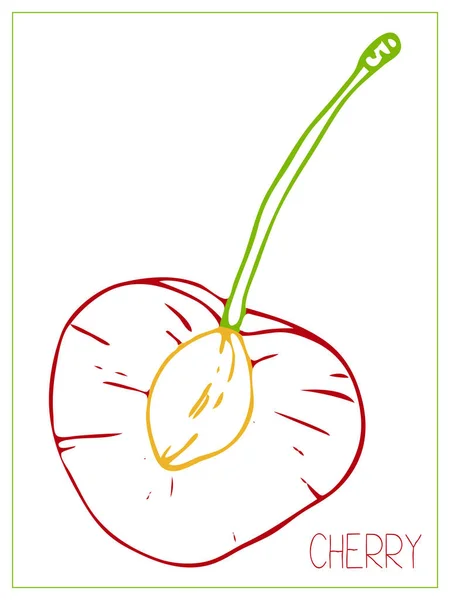 Sílhueta de vetor de uma parte de cereja. Frutas de desenho isoladas sobre fundo branco . — Vetor de Stock