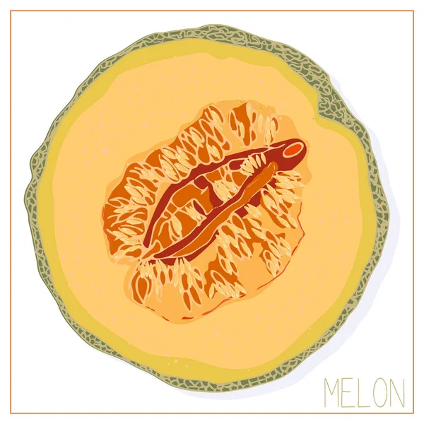 Silhouette vectorielle de tranches de melon. Fruit dessin isolé sur fond blanc . — Image vectorielle