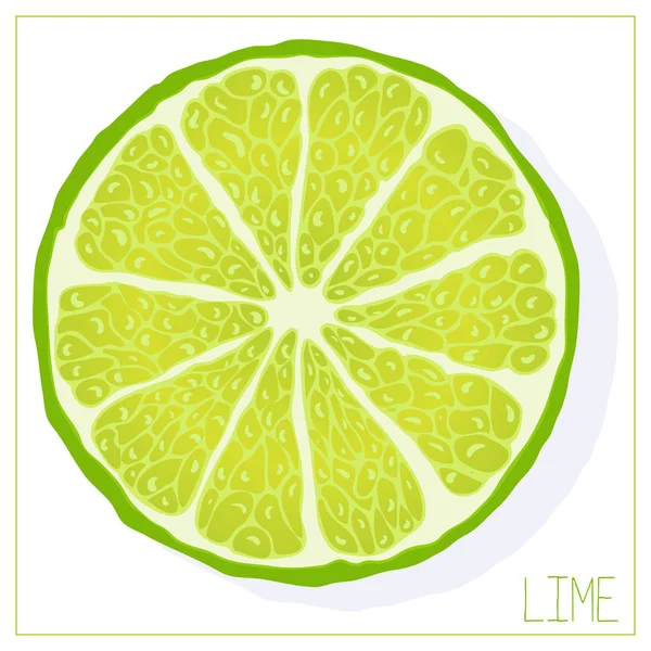 Vector silhouette of a slice of lime. Isolated drawing fruit on a white background. — 스톡 벡터