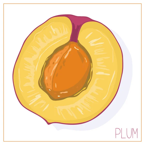 Sílhueta vetorial de uma fatia de ameixa. Frutas de desenho isoladas sobre fundo branco . — Vetor de Stock