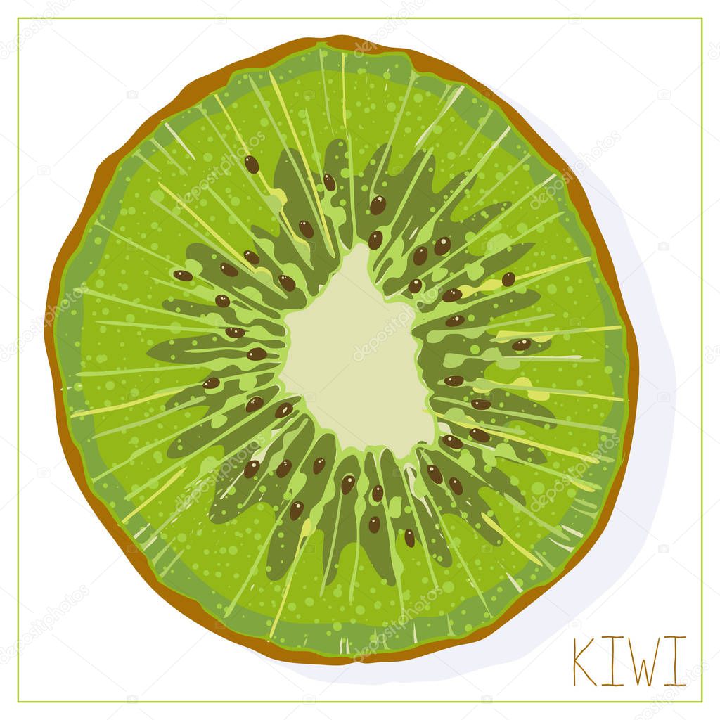 Vector silhouette of a slice of kiwi. Isolated drawing fruit on a white background. Juicy healthy food design element. Vector stock illustration