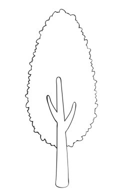 Yaprak döken ağacın vektör silueti. Logo tasarımı, kıyafet dekorasyonu, dövme ya da tebrik kartı için stilize hatlar. Beyaz arka planda izole hisse senedi çizimi.