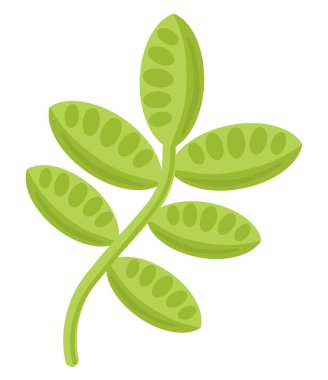 Siluette düz çiçek simgeleri beyaza izole edilmiş. Çıkartmalar, etiketler, etiketler, hediye paketleme kağıtları için parlak renklerde şirin tasarım.