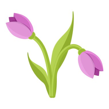 Şekillendirilmiş kar damlası çiçekli vektör çiçek çizimi. Beyaz arka planda izole elementler. Çiçek dizaynınız için narin soğanlı bir bitki. Vektör stok illüstrasyonu