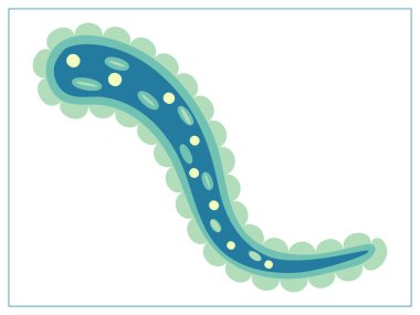 Bakteri, virüs, hücre, mikrop ya da salgın bakterisi içeren düz vektör çizimi. Web sitenizin tasarımı, logosu, uygulaması ve UI için stilize edilmiş çizim. Beyaz arkaplanda izole hisse senedi çizimi.
