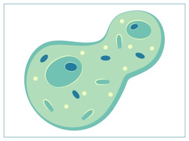 Bakteri, virüs, hücre, mikrop ya da salgın bakterisi içeren düz vektör çizimi. Web sitenizin tasarımı, logosu, uygulaması ve UI için stilize edilmiş çizim. Beyaz arkaplanda izole hisse senedi çizimi.