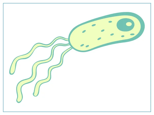 Vector Flat Illustration Bacteria Virus Cells Germs Epidemic Bacillus Stylized — Stock Vector