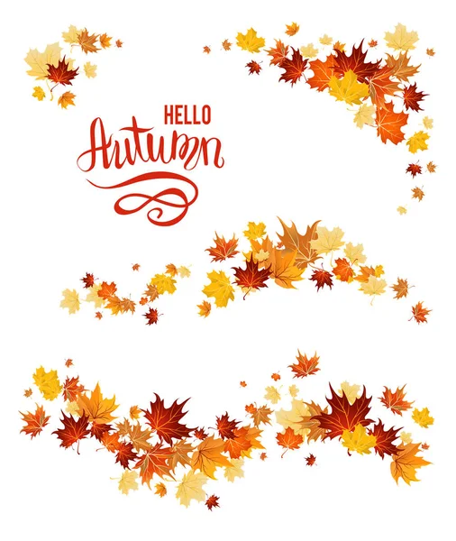 Conjunto de outono de folhas de bordo —  Vetores de Stock