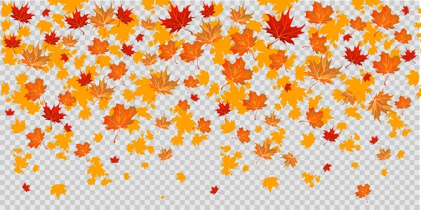 Herbst Blätter Gestaltungselemente — Stockvektor