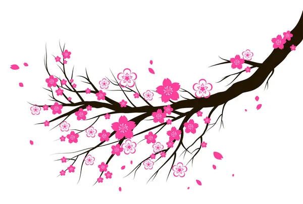 Rama de flor de primavera de cerezo o sakura . — Vector de stock