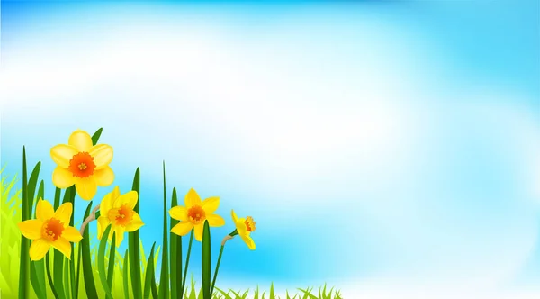 Banner de flor de primavera con narcisos — Vector de stock