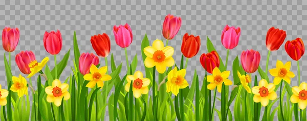 Decoração sazonal floral com narcisos e tulipas —  Vetores de Stock