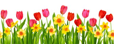 Beautiful spring floral blossom border