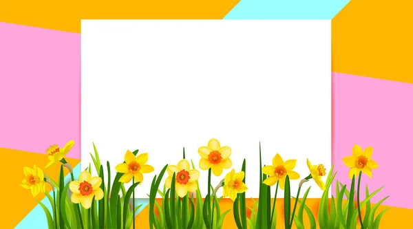 Floral holiday banner with daffodils —  Vetores de Stock