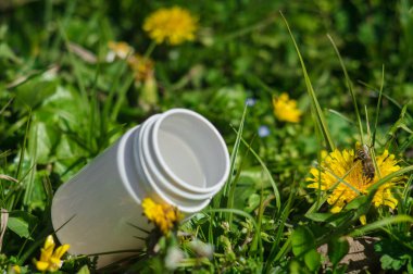 Çiçekli beyaz haplar. Karahindiba içeren haplar ya da tabletler Bokeh 'e yakın. Konsept fotoğraf teması Coronavirus ve Covid-19.