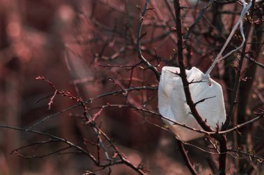 Terk edilmiş ve filtreli kirli beyaz maske. Coronavirus ve Covid-19 temalı konsept fotoğraf. Karantinanın doğadaki etkileri