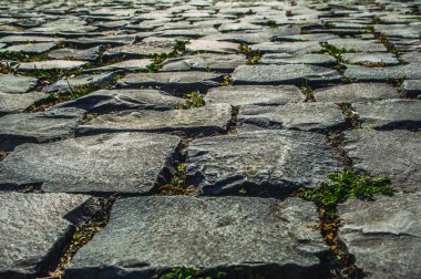 Taşların arasında yeşil çimen olan gri taş yol. Güneşte kadim bir yol. Harabelerde yeni bir hayat