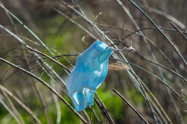 Mavi tıbbi maske dalda. Virüs sonrası karantinanın etkileri.