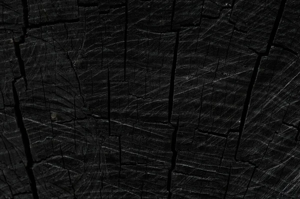 Background Stump Dark Colors Texture Sump — Stock Photo, Image