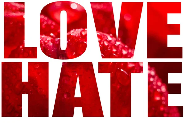 Text Love Hate Pozadí Fotografie Červeného Okvětního Lístku Tulipánu Makru — Stock fotografie