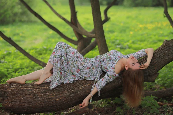 公園の若い美少女は木の上に横たわっています — ストック写真