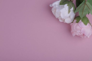 Pembe ve gülü silmek için pembe boş bir sayfa