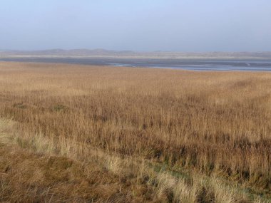 Dunes Texel Milli Parkı