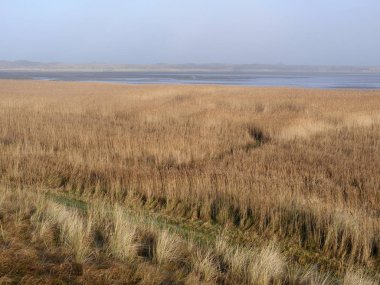 Dunes Texel Milli Parkı