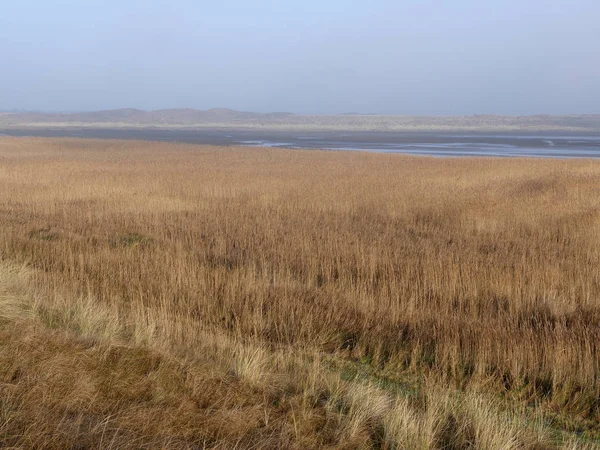 Dunes Texel Milli Parkı