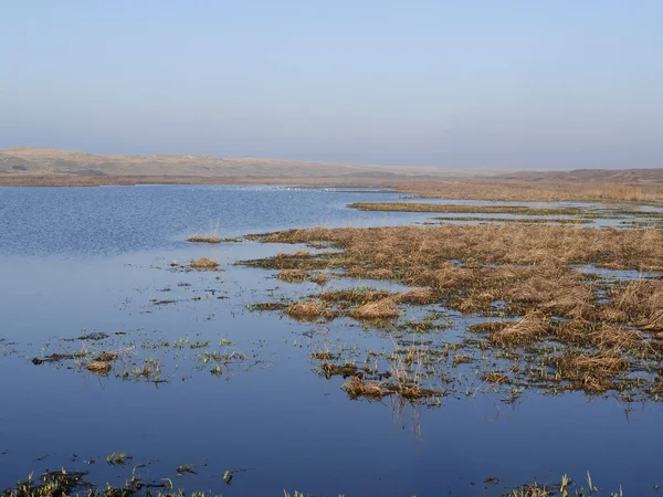 Duny z Texel národní Park — Stock fotografie