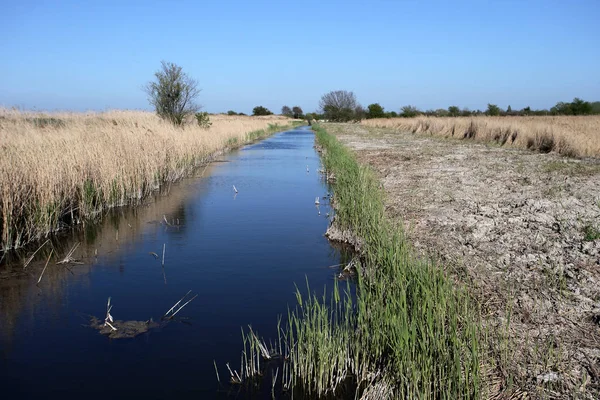 Stodmarsh National Nature Reserve — Stock Photo, Image