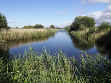 Jambon Hall Rspb rezerv