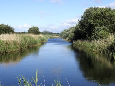 Jambon Hall Rspb rezerv