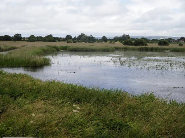 Ham Hall RSPB Reserve — Stock Photo, Image