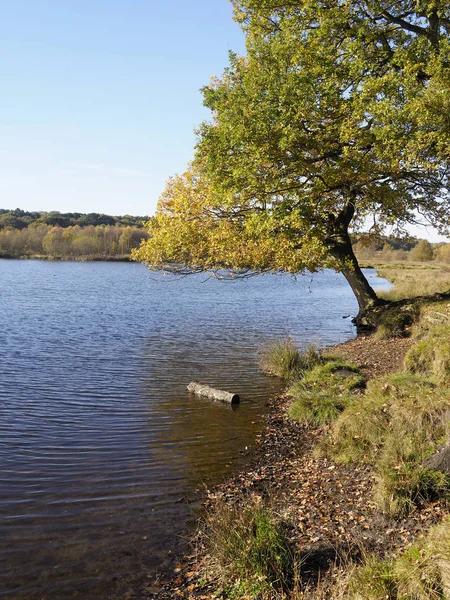 Longmore basen, Sutton Park — Zdjęcie stockowe