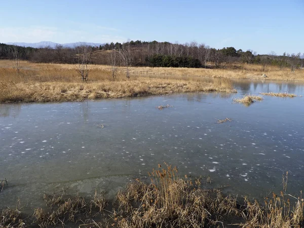 Sunpo Wetlands — Stock Photo, Image