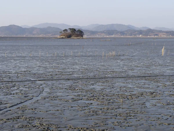 木浦地域の干潟 — ストック写真