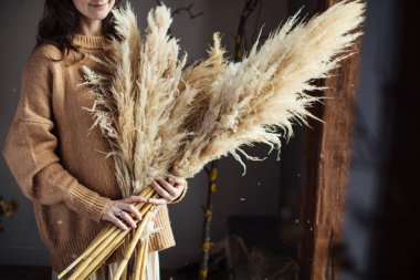 Güzel bir sonbahar buketi, bir kadının ellerinde kurumuş malzemeler. Cortaderia