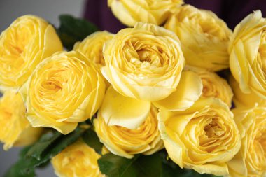 Yakın çekim. Güzel bir buket sarı şakayık. Çiçekçinin işi bu. Çiçek teslimatı